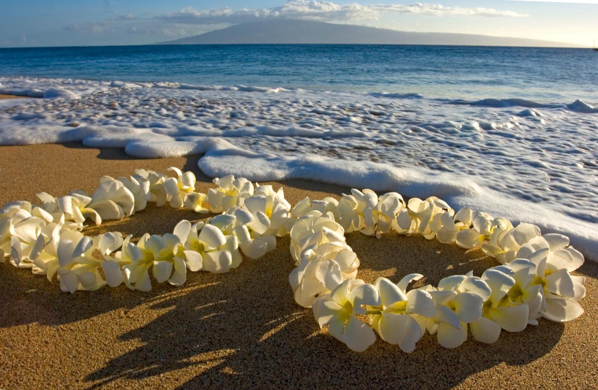 Great Ocean View Condo, Near Beach With Free Parking! Honolulu Extérieur photo